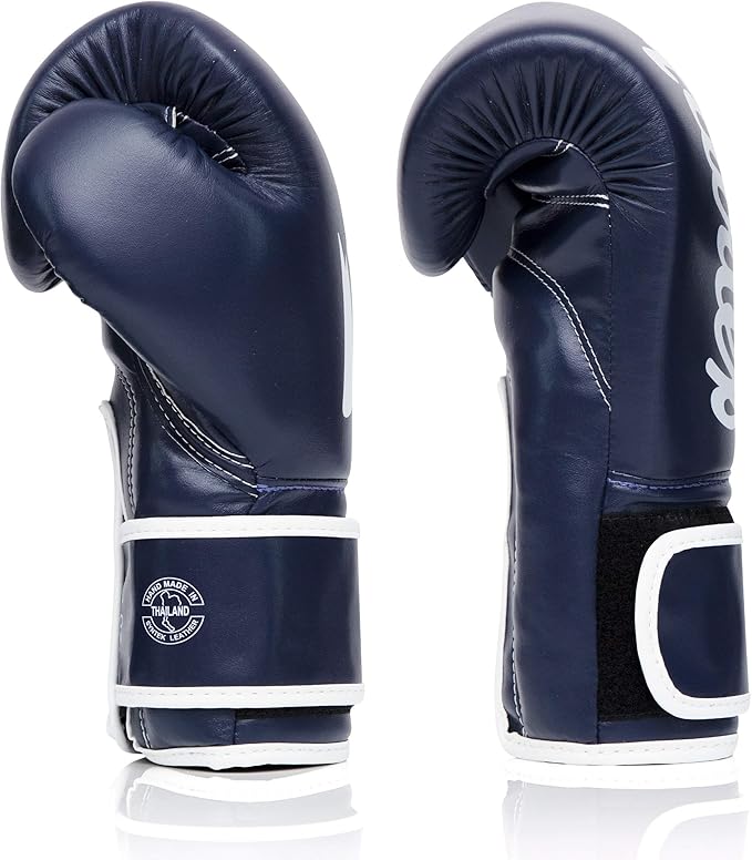 Fairtex Muay Thai Boxing Gloves for Men, Women, Kids | MMA Gloves, Kickboxing, Gym, Workout | Premium Quality, Light Weight & Shock Absorbent Boxing Gloves - BGV14, BGV11, BGV18, BGV20, BGV25