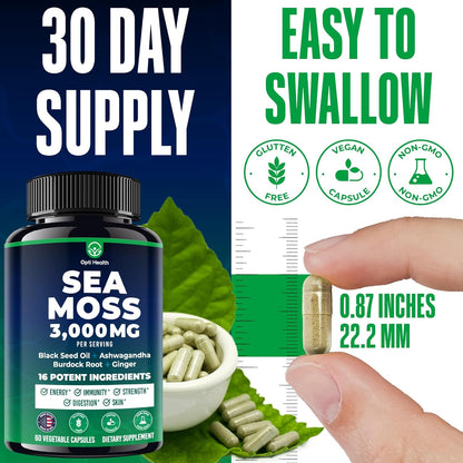 Sea Moss Black Seed Oil Ashwagandha Ginger - Advanced Irish Sea Moss Capsules All in One Supplement with Seamoss Black Seed Oil Ashwagandha Burdock Root Bladderwrack - Pills for Energy, Immune, Gut