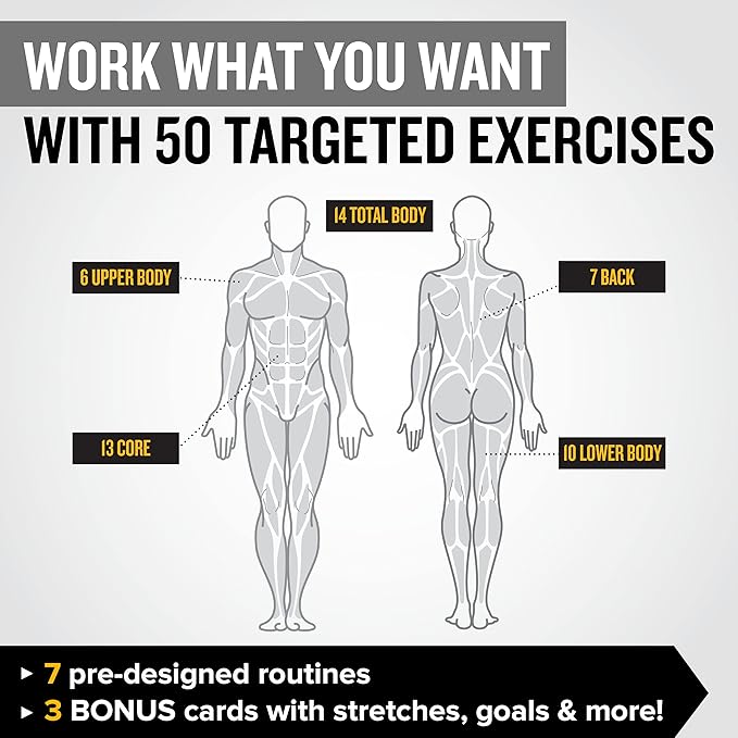 NewMe Fitness Dumbbell Workout Cards, Instructional Fitness Deck for Women & Men, Beginner Fitness Guide to Training Exercises at Home or Gym (Dumbbell, Vol 2)