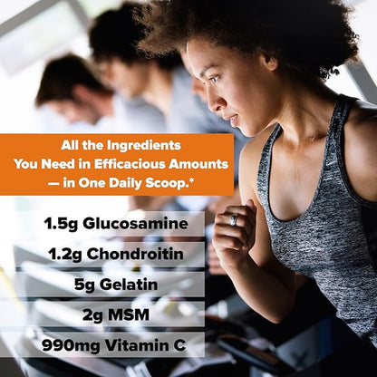 Labrada Nutrition Elastijoint, Orange Flavor,Glucosamine Joint Support Supplement Powder for Men & Women, Joint Pain Relief & Bone Health Supplement with MSM, Glucosamine Chondroitin MSM Gluten-Free