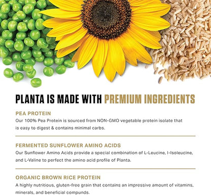 Ambrosia Planta - Premium Organic Plant-Based Protein | Vegan & Keto Friendly | Gourmet Flavors with No Bloating or Stomach Upset | Gluten & Soy Free | No Added Sugar | 25 Servings | Peanut Butter Cup
