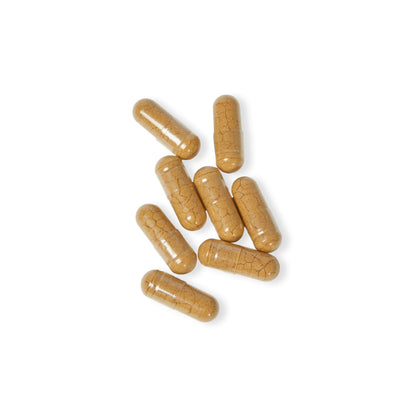 HBS, Mushroom Blend Supplement (60 Vegetable Capsules)